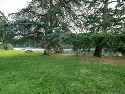 View 91