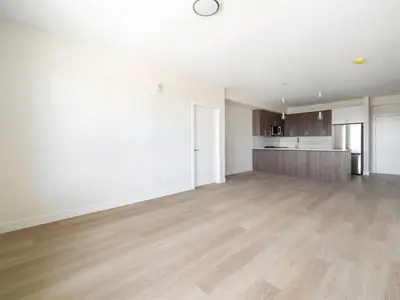 View 15