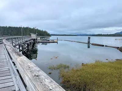 View 67