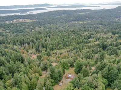 View 6