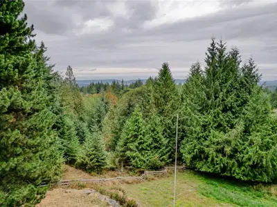 View 12