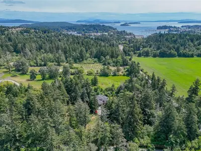 View 56