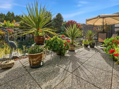 View 27
