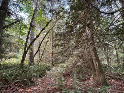 View 1