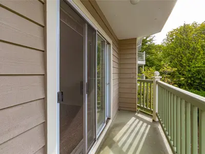 View 15
