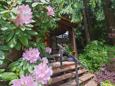 View 24