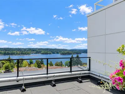 View 27