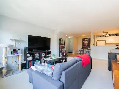 View 11