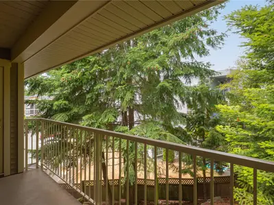View 33