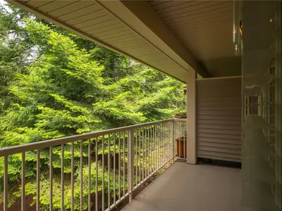 View 32