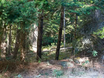 View 3