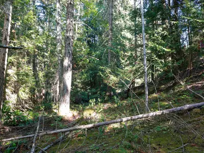 View 5