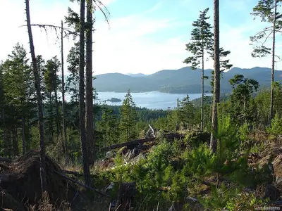 View 3