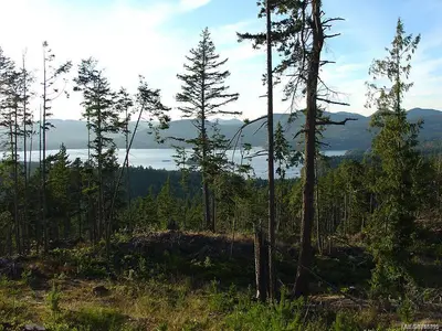 View 5