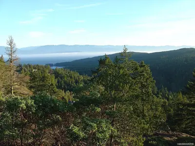 View 4