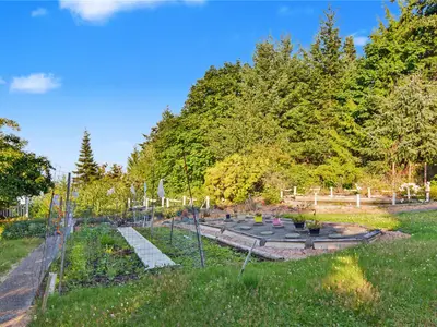 View 50