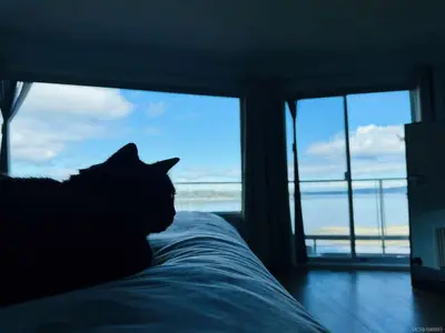 View 51