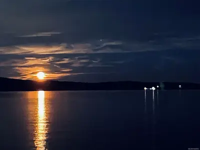 View 48