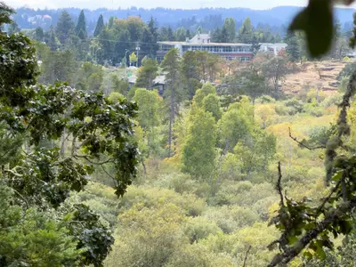 View 21