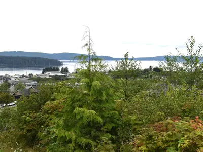 View 7