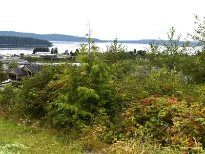 View 3