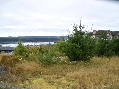 View 1