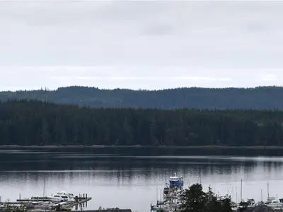 View 5