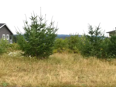 View 8