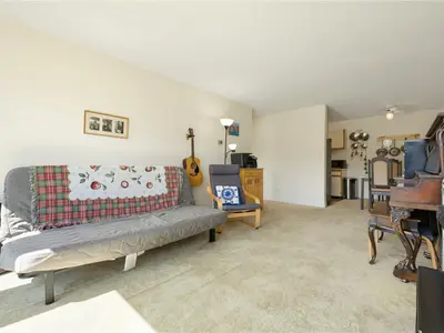 View 24