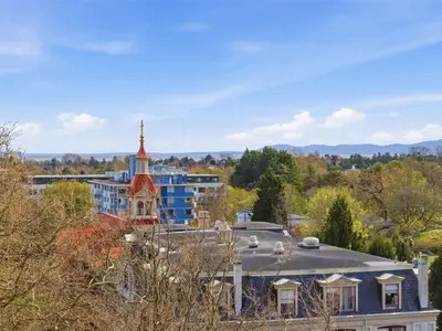 View 50