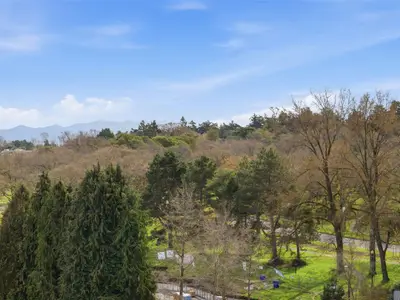 View 31