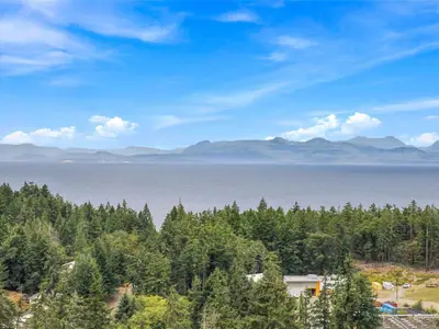 View 19