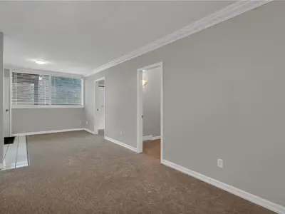 View 24