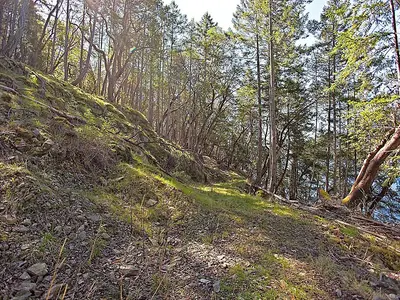 View 23