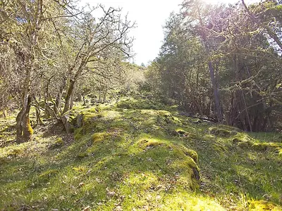 View 27