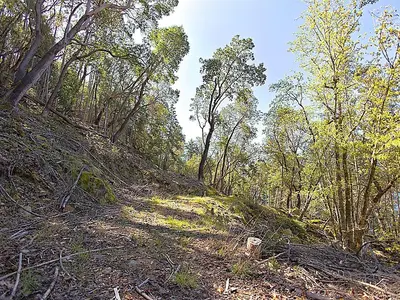 View 17