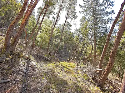 View 16