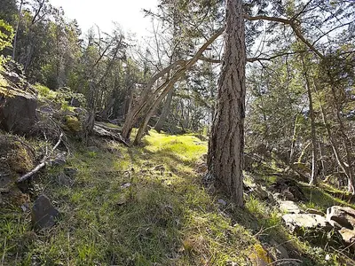 View 12
