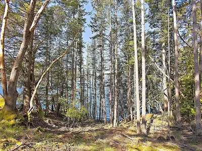 View 26