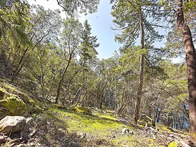 View 22