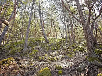 View 24