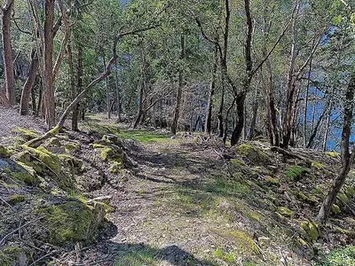 View 34
