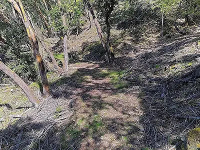View 33