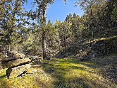 View 14