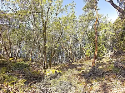 View 18