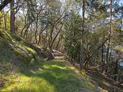 View 15