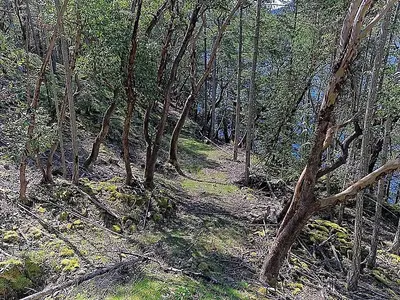 View 31