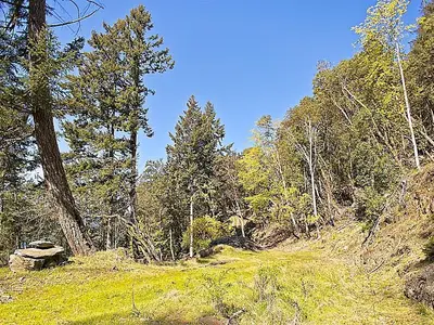 View 29