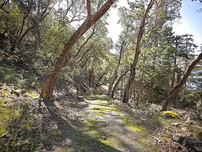 View 8
