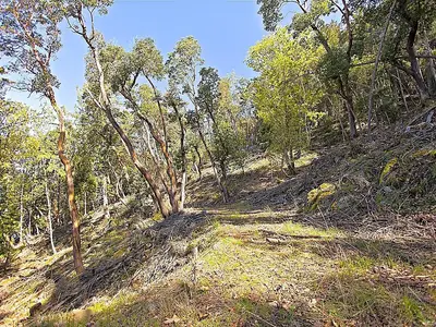 View 21
